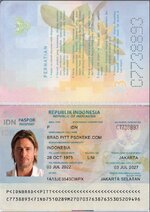 Indonesia-passport-v2.jpg