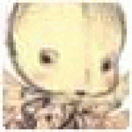 Pepehor